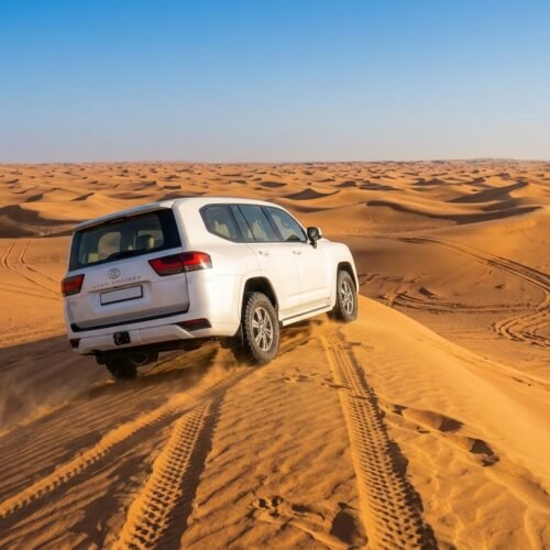 Morning Desert Safari – Private Car